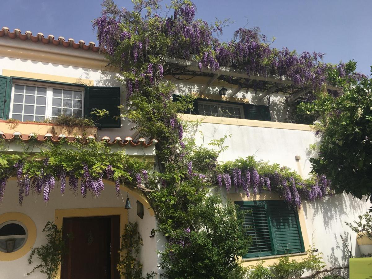 شقة A Casa Do Lagar أزيتاوْ المظهر الخارجي الصورة