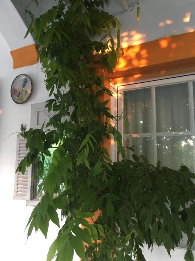 شقة A Casa Do Lagar أزيتاوْ المظهر الخارجي الصورة