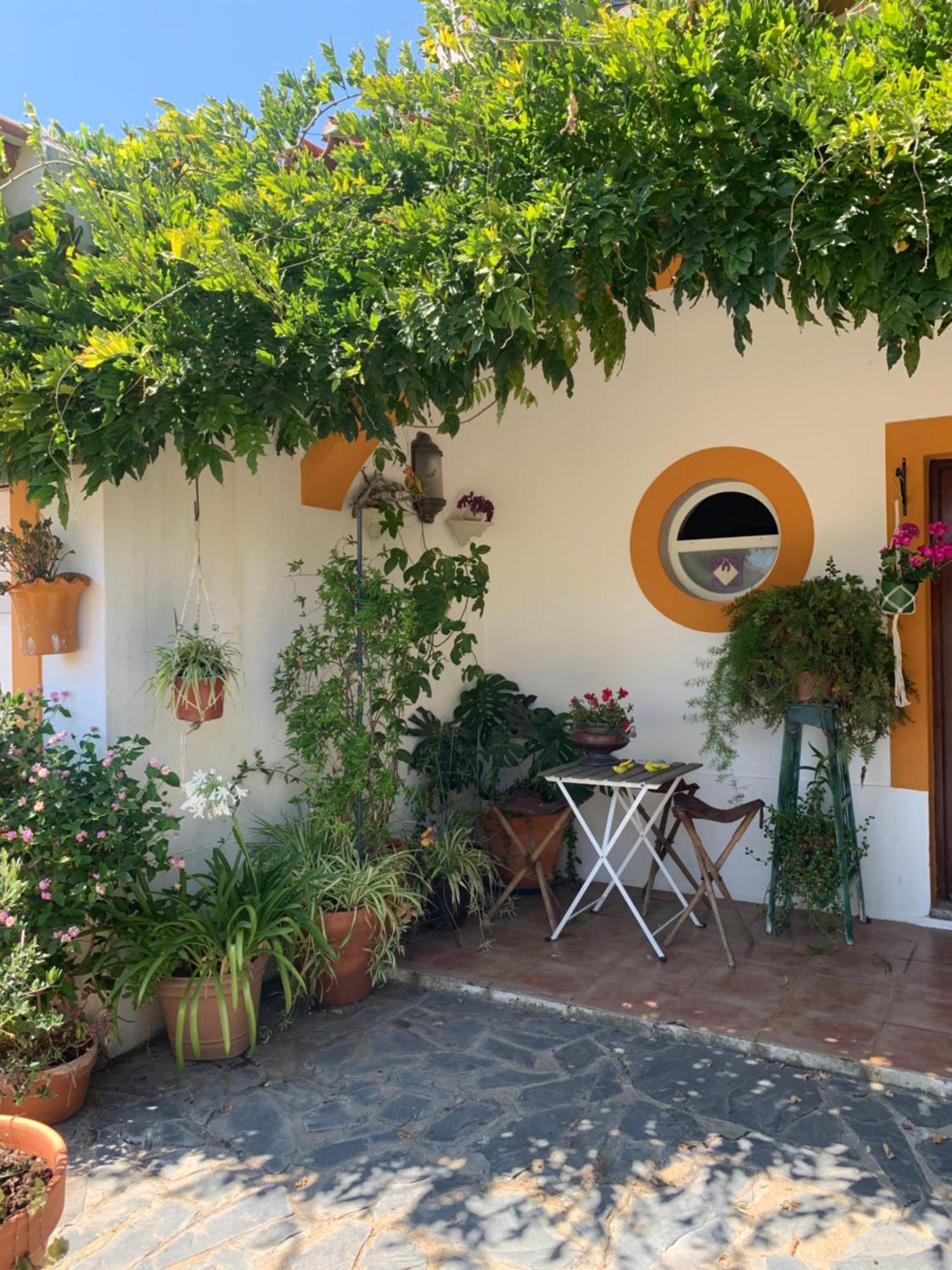 شقة A Casa Do Lagar أزيتاوْ المظهر الخارجي الصورة