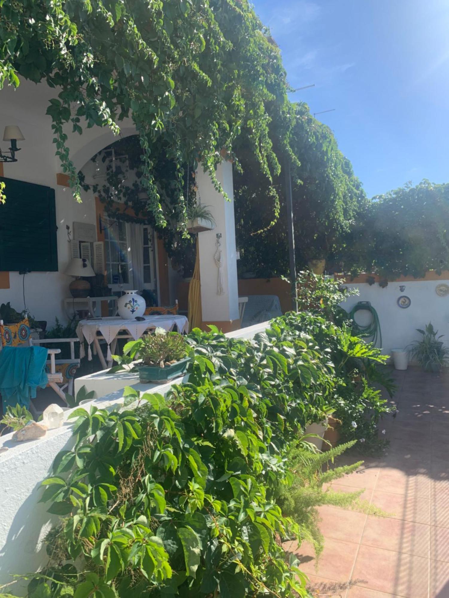 شقة A Casa Do Lagar أزيتاوْ المظهر الخارجي الصورة